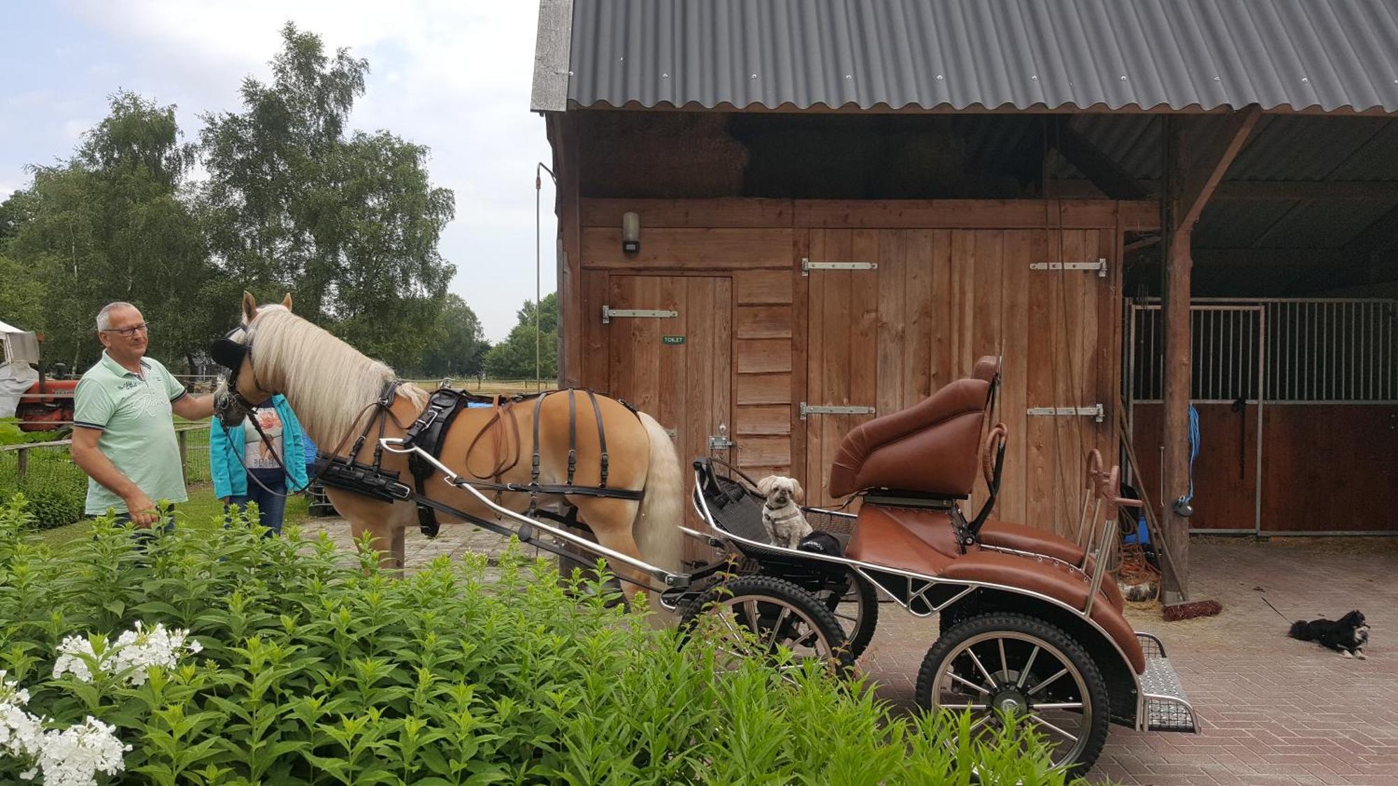 Vakantiehuis "Aan De Zandweg" Roderesch Exterior foto
