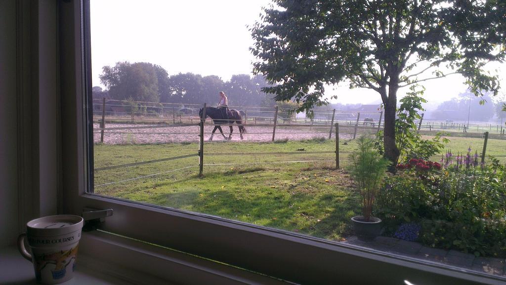 Vakantiehuis "Aan De Zandweg" Roderesch Habitación foto